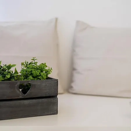 City Life Apartment
